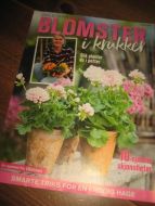 BLOMSTER I KRUKKER