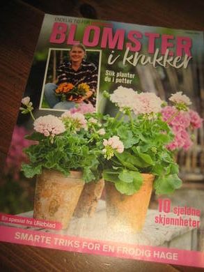 BLOMSTER I KRUKKER