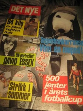 1979 nr 024 DET NYE DAVID ESSEX