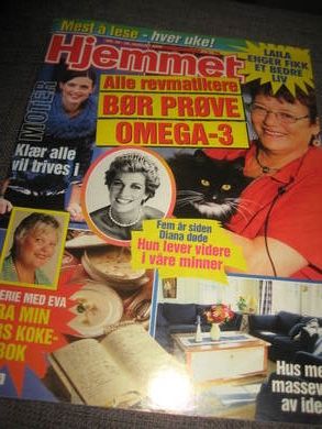 2002 nr 035 HJEMMET