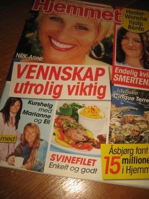 2008 nr 034 HJEMMET