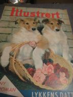 1958 nr 034 ILLUSTRERT OLGA DETERDING