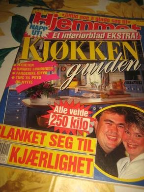 1995 nr 038 HJEMMET