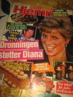 1995 nr 050 HJEMMET