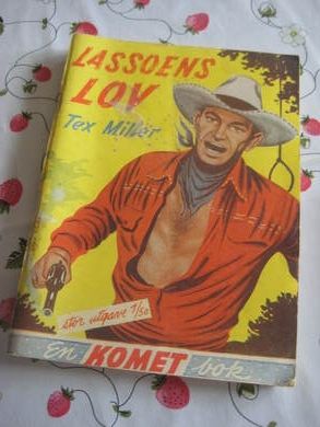 LASSOENS LOV Bok nr 22