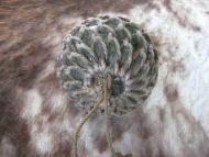 Meget pen MEGET STOR kavlkule med pen seis Brukt ved garnfiske i gamle dager dette er kule K4