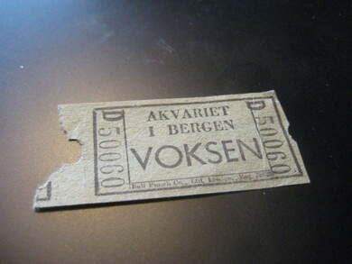 AKVARIET I BERGEN 50006 60 tallet