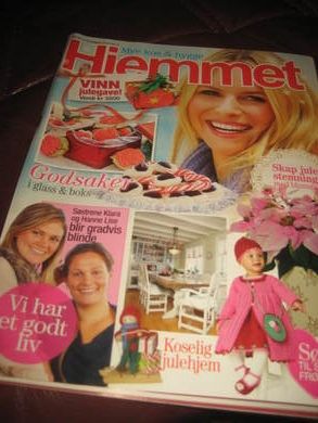 2013 nr 049 HJEMMET