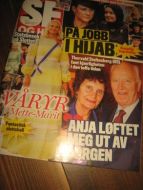 2017 nr 013 SE OG HØR