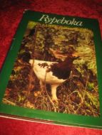STEEN: RYPEBOKA. 1978