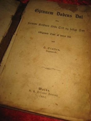 Olafsen: Gjennem Dødens Dal . 1881