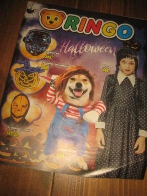 RINGOKATALOG 2024
