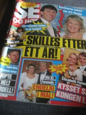 1992 nr 041 SE OG HØR