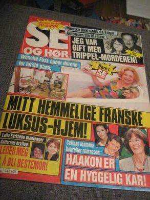 1993 nr 031 SE OG HØR