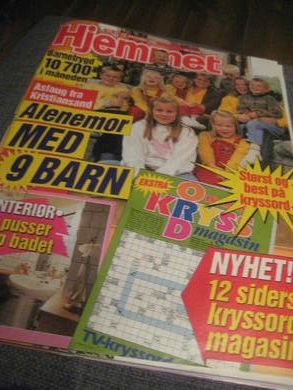 1996 nr 043 Hjemmet