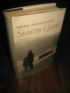 NEMIROVSKY: STORM I JUNI. 2007