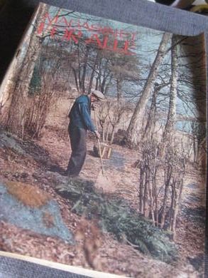 1966,nr 020, MAGASINET FOR ALLE