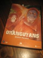 ORANGUTANS