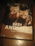 BABY ANIMALS.