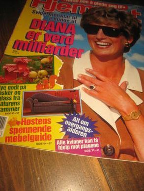 1993 nr 035 Hjemmet