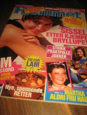 1993 nr 040 Hjemmet