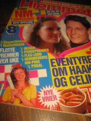 1993 nr 039 Hjemmet