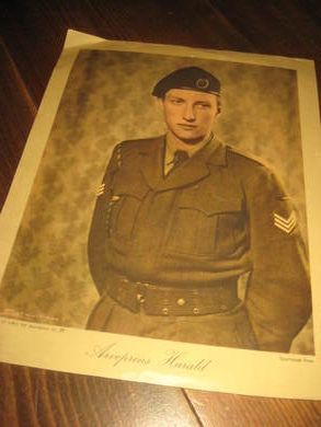 Bilde klar for innramming: Arveprins Harald 20*25 cm stort