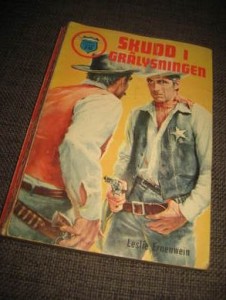 SKUDD I GRÅLYSNINGEN.