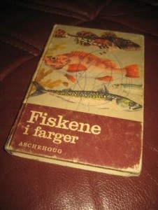 RØISE. FISKENE I FARGER. 1978.