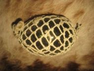 Gammel kavlkule fra tidleg 1900 brukt ved garnfiske i gamle dager Lys grønn tykk utgave som er den sjedneste dette er kule nr 49