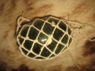 Gammel kavlkule fra tidleg 1900 brukt ved garnfiske i gamle dager Lys grønn tykk utgave som er den sjedneste dette er kule nr 46