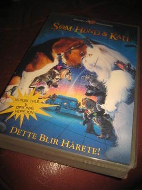 SOM HUND OG KATT 2001