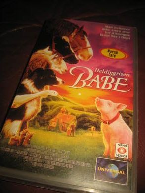 HELDIGGRISEN BABE