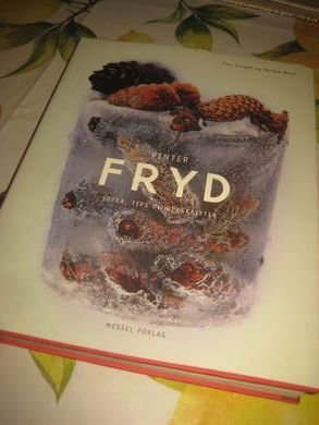 Schøll - Brun: Vinter FRYD Ideer tips og oppskrifter 1998