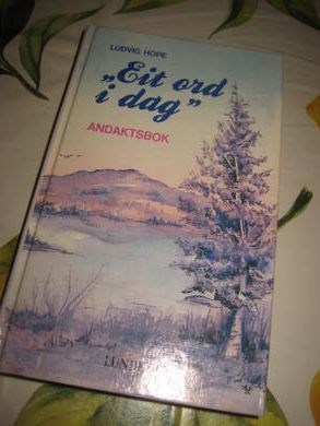 HOPE LUDVIG: EIT ORD I DAG 1989