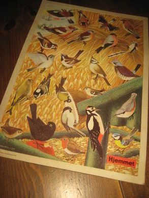 Fugleplansje billag til Hjemmet 1967