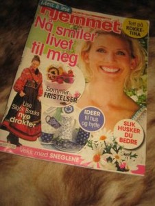 2008 nr 029 Hjemmet
