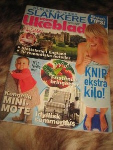 2008 nr 029 NORSK UKEBLAD