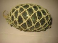 Kavlkule fra eldre dager brukt ved garnfiske på den tid pen seis dette er kule nr 3