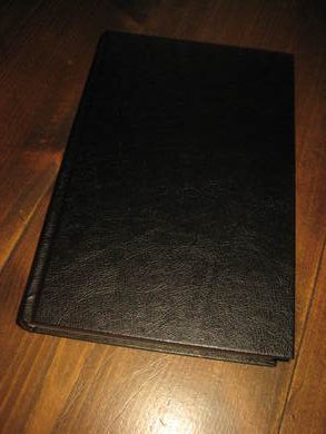 SCOTTOLINE LISA: R&Aring;TT PARTI 1999