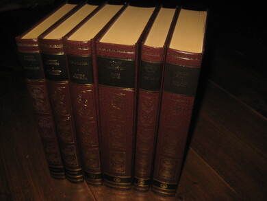 Lot bøker med samme rygg pene i en bokhylle EMMELINE - SOLSIKKESKOGEN -DØDENS VENTEROM - TAUSE VITNER - LACY/ALICE - I ULVENS NÆRHET Dette er bokpakke nr 5