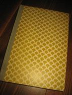 MARTIN HANS: ILDEN SLUKKES 1965