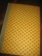 MARTIN HANS: MARIANNE OG LYKKEN 1960