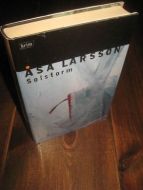 LARSSON &Aring;SA: SOLSTORM 2004