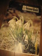 1970 nr 006 HUSMORBLADET