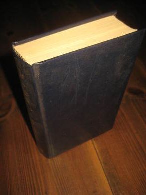 HOFFMANN POUL: DEN EVIGE TID Roman om Moses Ii 1988