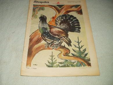 1939 nr 011 A MAGASINET