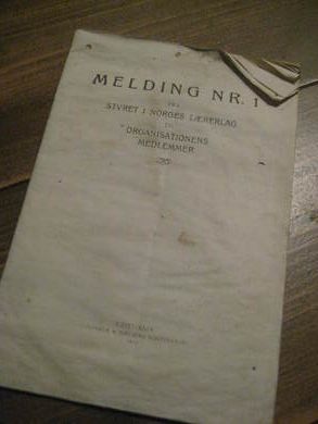 MELDING NR 1 FRA STYRET I NORGES LÆRERLAG 1919