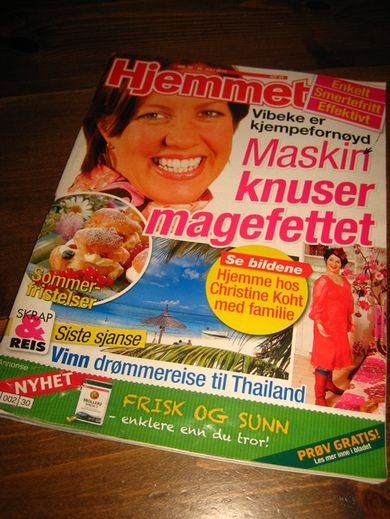 2010 nr 030 Hjemmet
