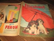 1956 nr 018 Illustrert